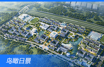 学校概况